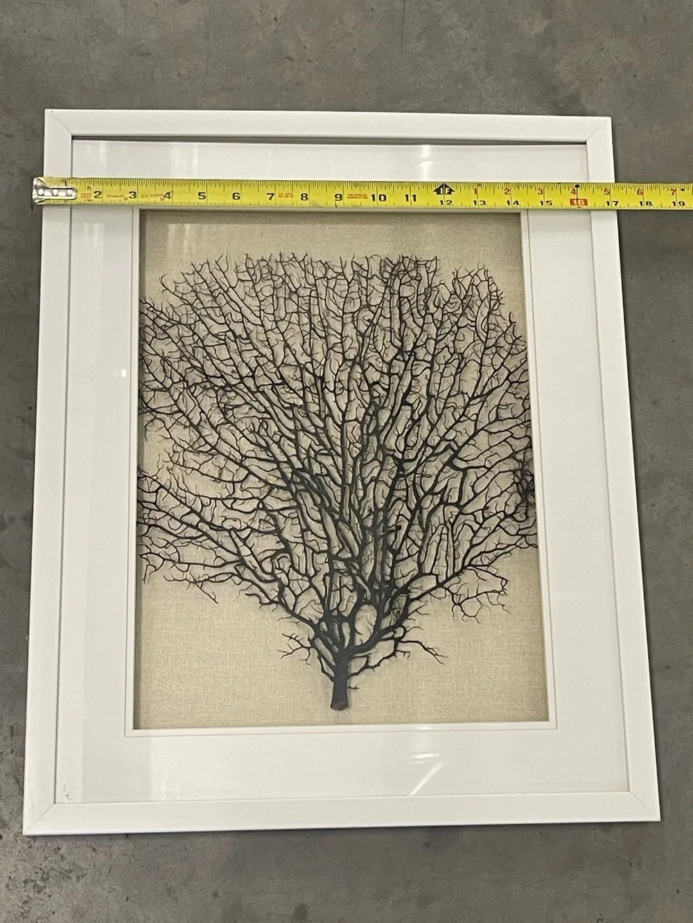 ✨ Faux Black Sea Fan Coral Framed Wall Art Set of 2 Coastal Boho Decor ✨